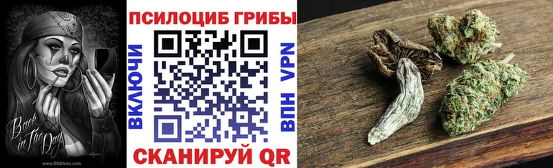 наркота  Алагир  Галлюциногенные грибы прущие грибы 